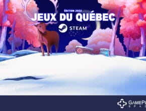 Français - Steam Sale Ecran Partage