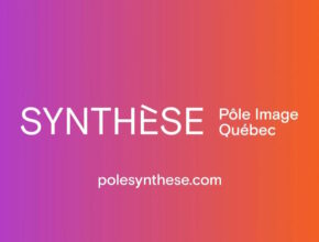 SYNTHESE Pole Image Quebec