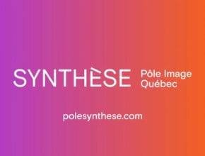 SYNTHESE Pole Image Quebec
